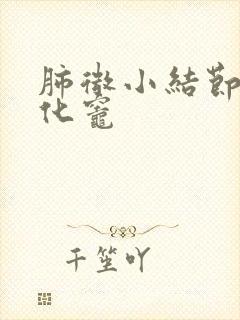 肺微小结节 钙化灶