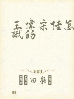 王伟宋佳怎么认识的