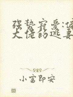 强势宠爱:偏执大佬的逃妻小说84封面