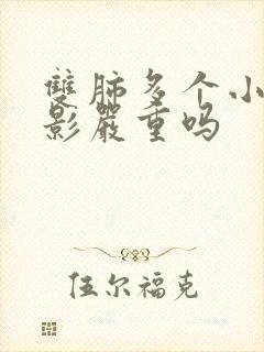 双肺多个小结节影严重吗