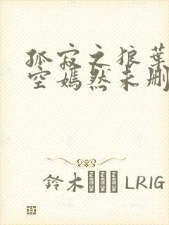 孤寂之狼叶凡司空嫣然未删减txt封面