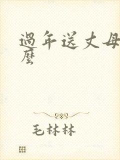 过年送丈母娘什么