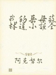 我的岳母苏沛真林道小说全文