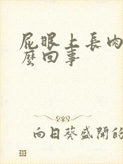 屁眼上长肉球怎么回事