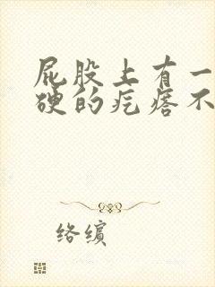 屁股上有一个硬硬的疙瘩不痛不痒封面