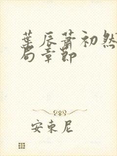 叶辰萧初然大结局章节