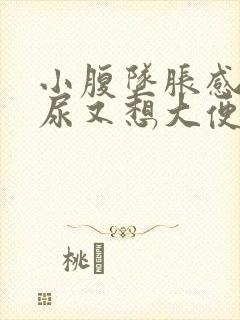 小腹坠胀感觉想尿又想大便