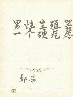 男性生殖器上长一个硬疙瘩封面