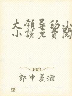 大领导的小妻子小说免费阅读封面