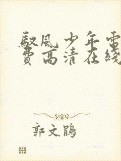 驭风少年电影免费高清在线观看封面