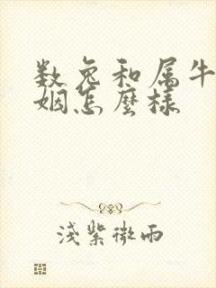 数兔和属牛的婚姻怎么样