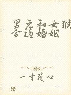 男兔和女猴合不合适婚姻