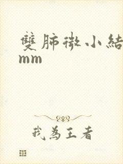 双肺微小结节4mm