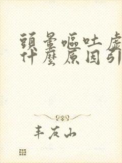 头晕呕吐虚汗是什么原因引起的