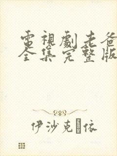 电视剧老爸当家全集完整版