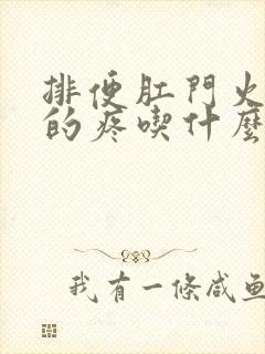 排便肛门火辣辣的疼吃什么药