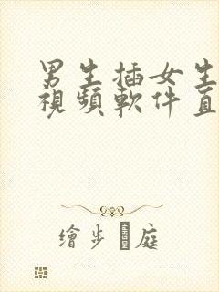 男生插女生逼的视频软件直接看