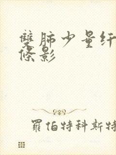 双肺少量纤维索条影