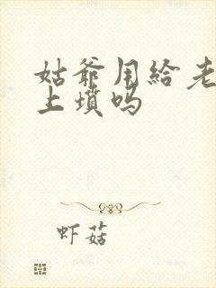 姑爷用给老丈人上坟吗封面