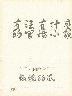 有没有什么好看的官场小说