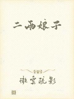 二两娘子封面