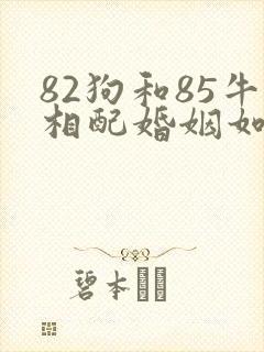 82狗和85牛相配婚姻如何