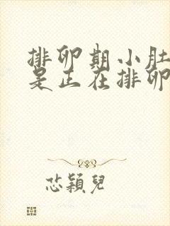 排卵期小肚子疼是正在排卵吗