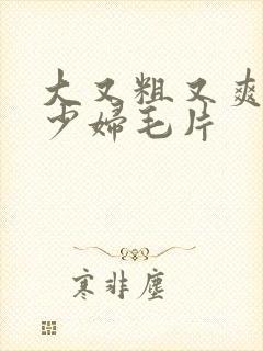 大又粗又爽又黄少妇毛片