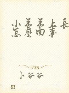 小弟弟上长豆豆怎么回事封面