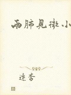 两肺见微小结节