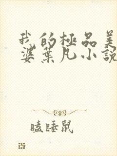 我的极品美女老婆叶凡小说封面