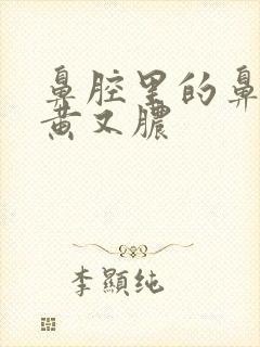 鼻腔里的鼻涕又黄又脓