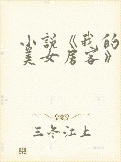 小说《我的绝色美女房客》