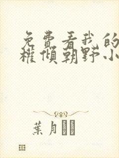 免费看我的夫君权倾朝野小说