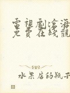 电视剧沧海全集免费在线观看封面