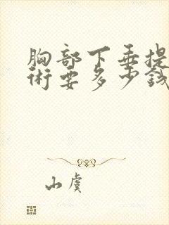 胸部下垂提升手术要多少钱费用