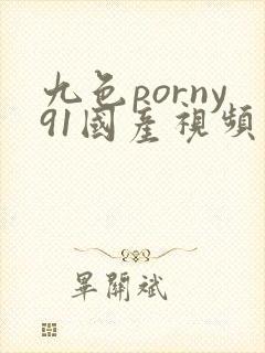 九色porny91国产视频