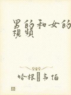 男的和女的亲嘴视频封面