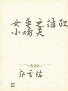 女尊之摄政王的小娇夫封面