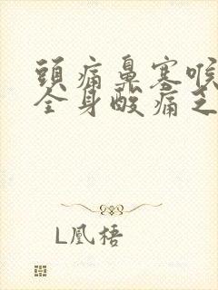 头痛鼻塞喉咙痛全身酸痛乏力吃什么药