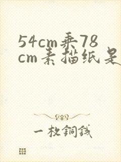54cm乘78cm素描纸是多大