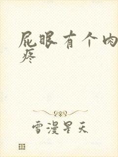 屁眼有个肉球很疼