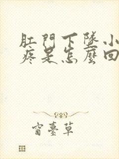 肛门下坠小肚子疼是怎么回事