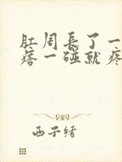 肛周长了一个疙瘩一碰就疼封面