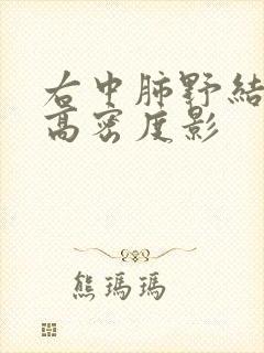 右中肺野结节状高密度影