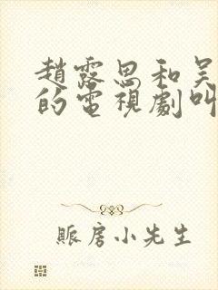 赵露思和吴刚演的电视剧叫什么