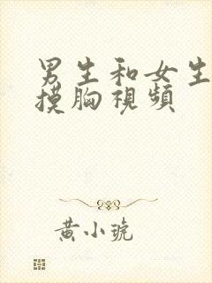 男生和女生亲嘴摸胸视频