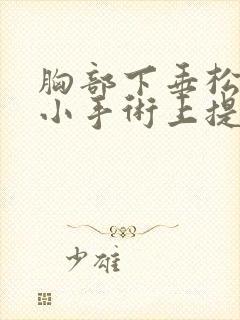 胸部下垂松弛缩小手术上提需要多少钱