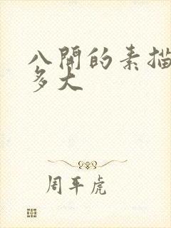 八开的素描纸有多大