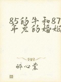 85的牛和87年兔的婚姻封面
